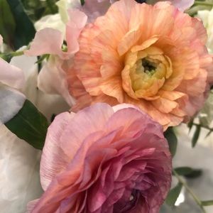 Meet your Posher, Shu